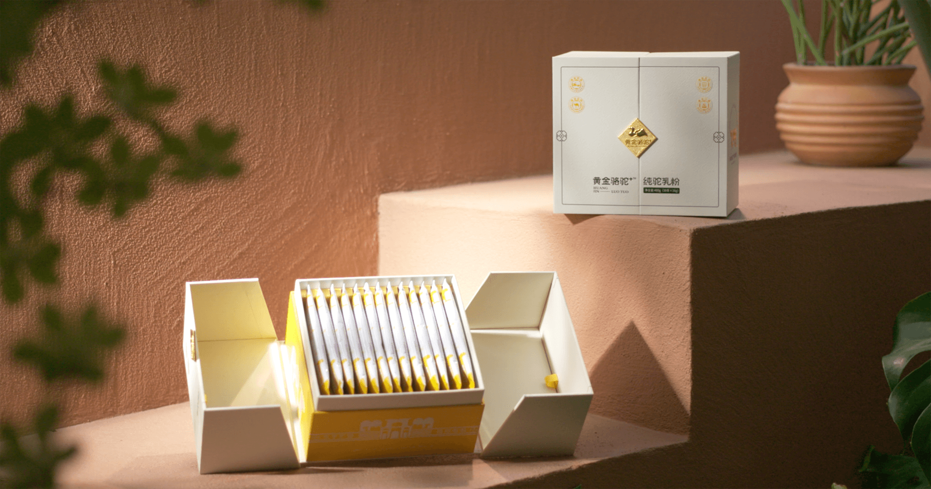 定位小众高端乳粉，AG贵宾会推出驼奶品牌“黄金骆驼+”，角逐乳品新市场！